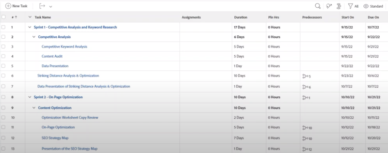 Project management task list detailing SEO optimization and analysis schedule.