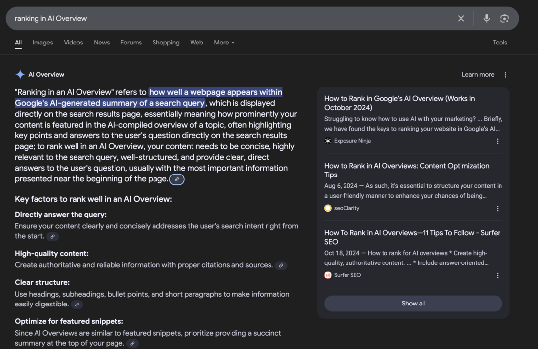 Google AI Overview Example