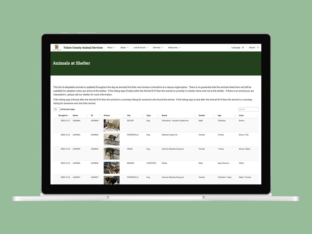 Laptop displaying Tulare County Animal Services adoptable animal listings.