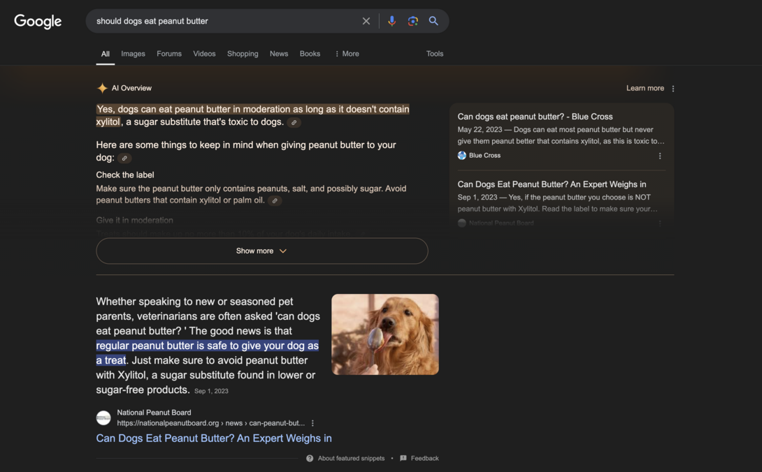 New Google AI Overview SEO Feature