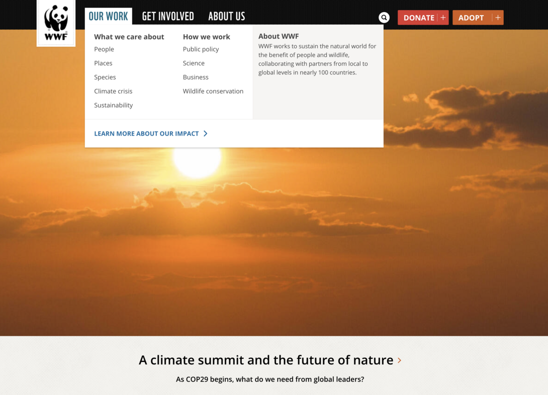 World Wildlife Fund Accessible Design Example